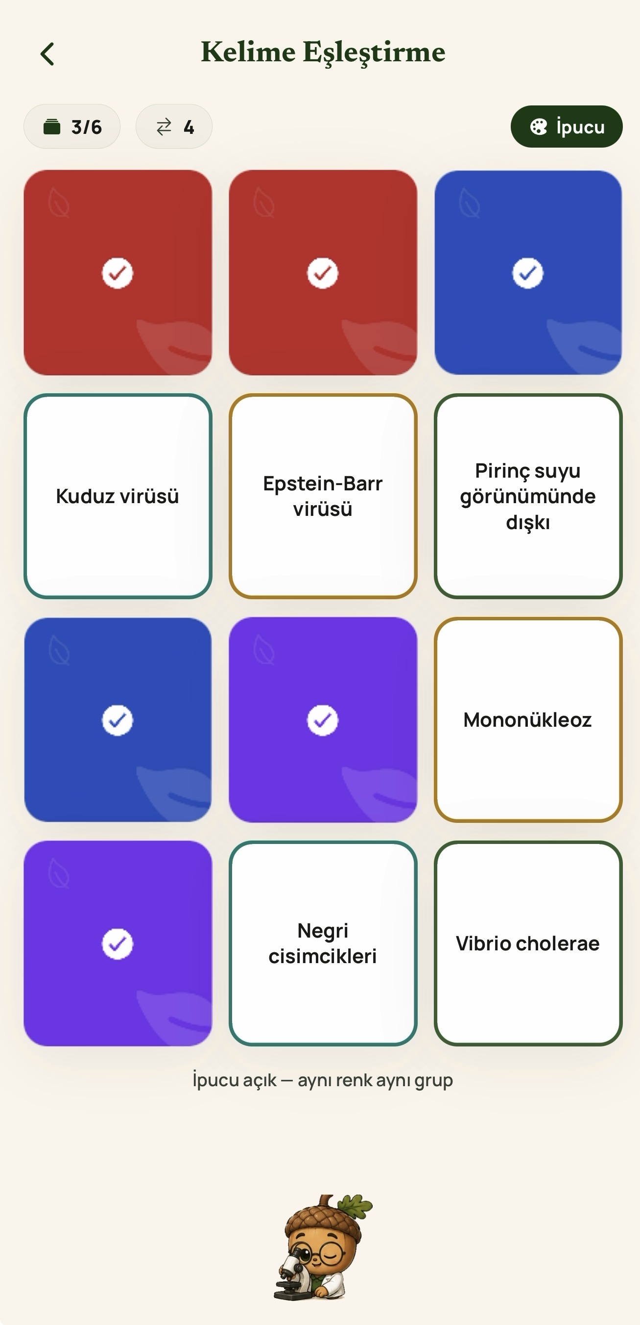 Meşe Kelime Eşleştirme oyunu