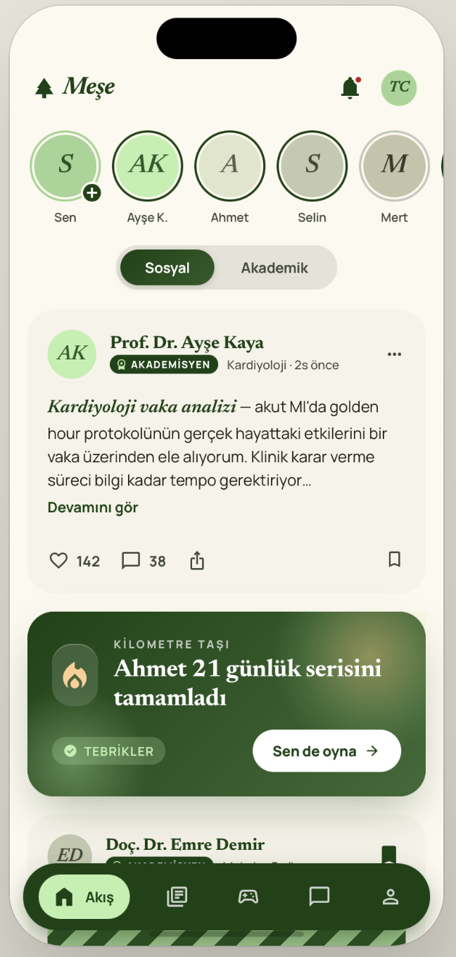 Meşe Akış